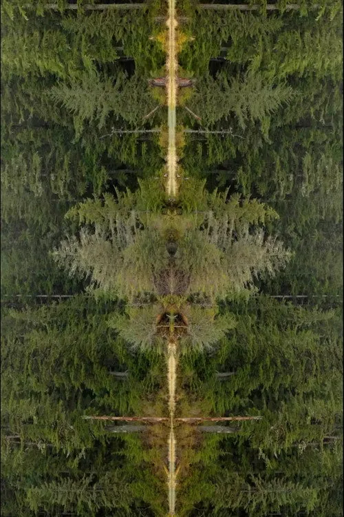 Mirrorpond
