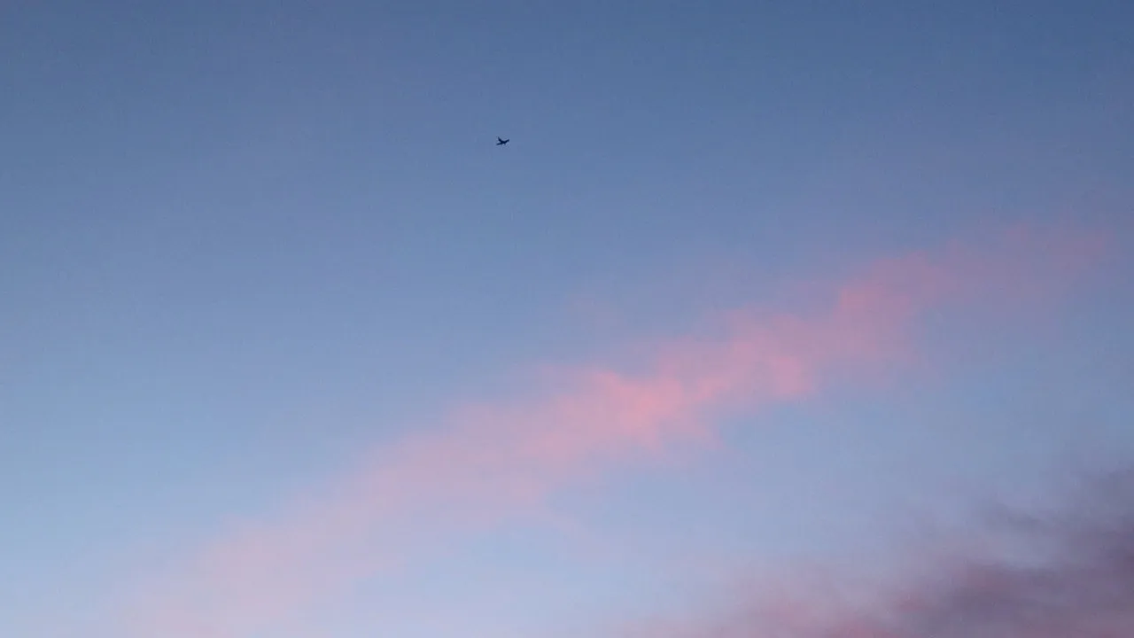 Pink Skies