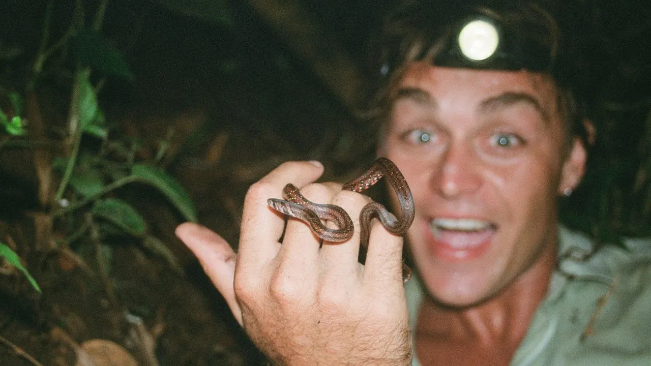 Snakes and Surf Breaks