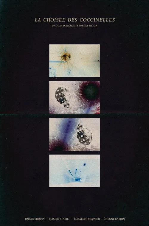 Affiche de La croisée des coccinelles