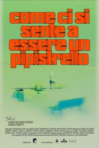 Come ci si sente a essere un pipistrello