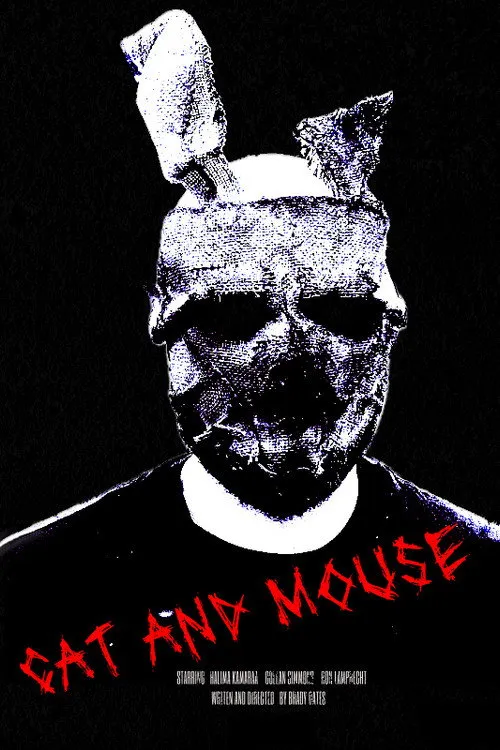 Affiche de Cat and Mouse