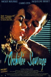 L&rsquo;Orchidée sauvage