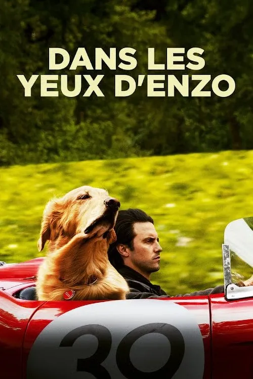 Affiche de Dans les yeux d&rsquo;Enzo