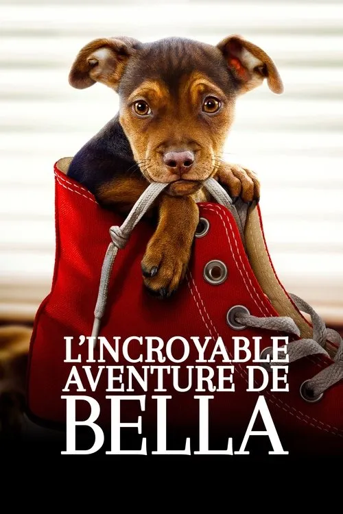 Affiche de L&rsquo;Incroyable Aventure de Bella