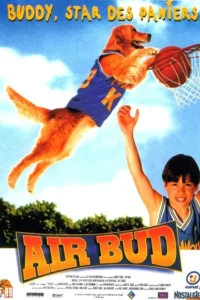 Air Bud – Buddy star des paniers