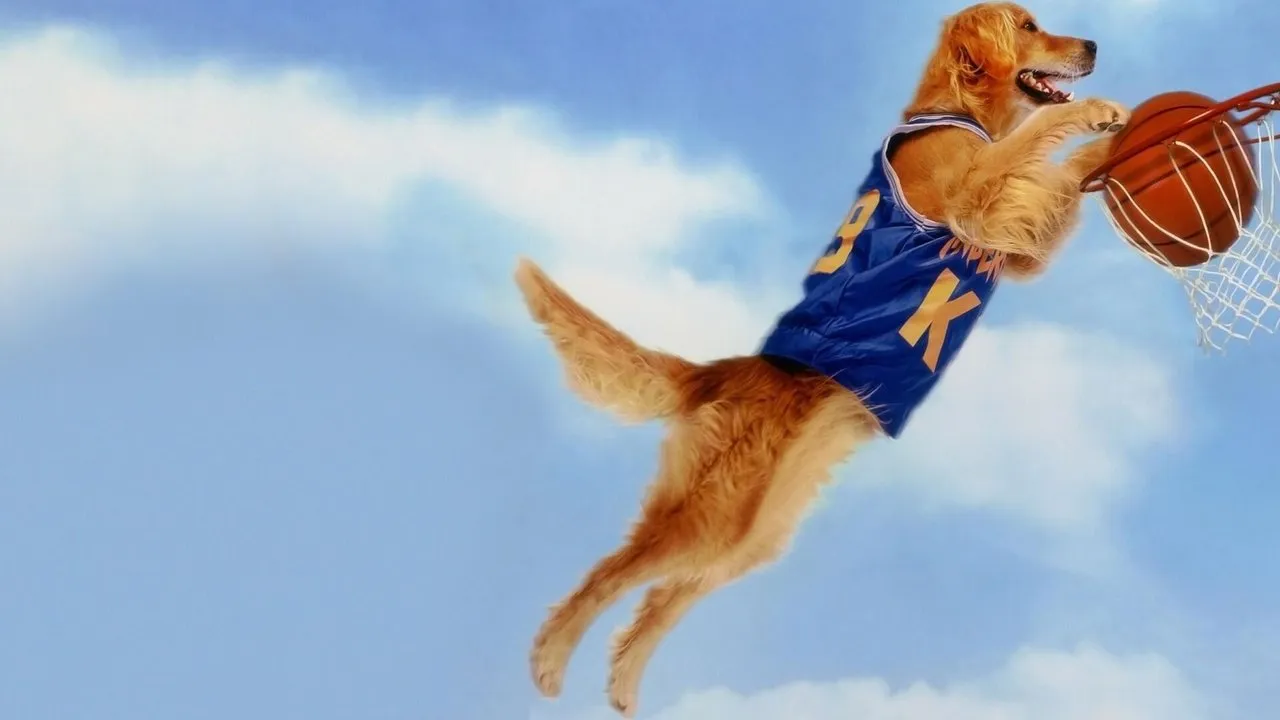 Air Bud – Buddy star des paniers