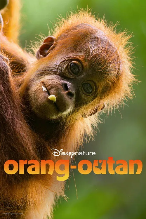 Orang-outan image 1