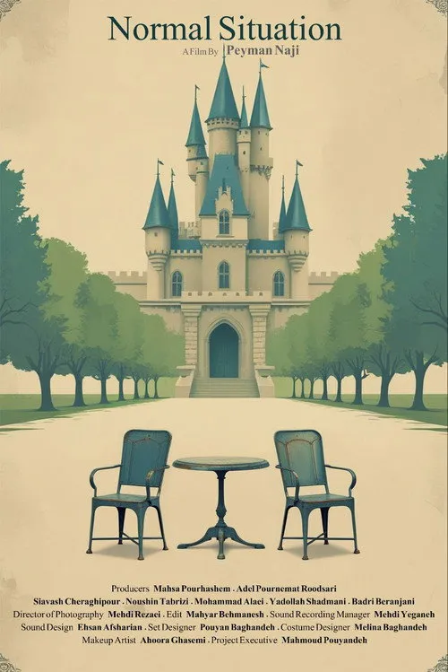 Affiche de Normal Situation