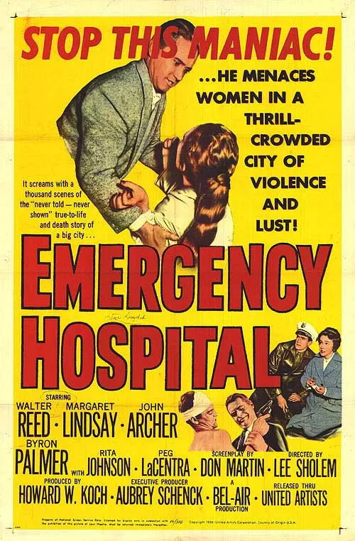Emergency Hospital image 1