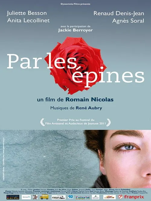 Affiche de Par les épines – Histoire de quatre printemps