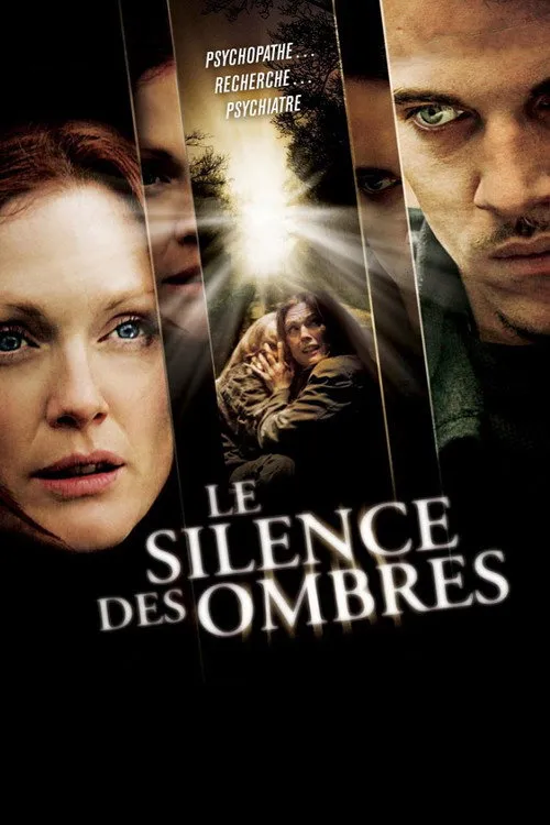 Affiche de Le Silence des ombres