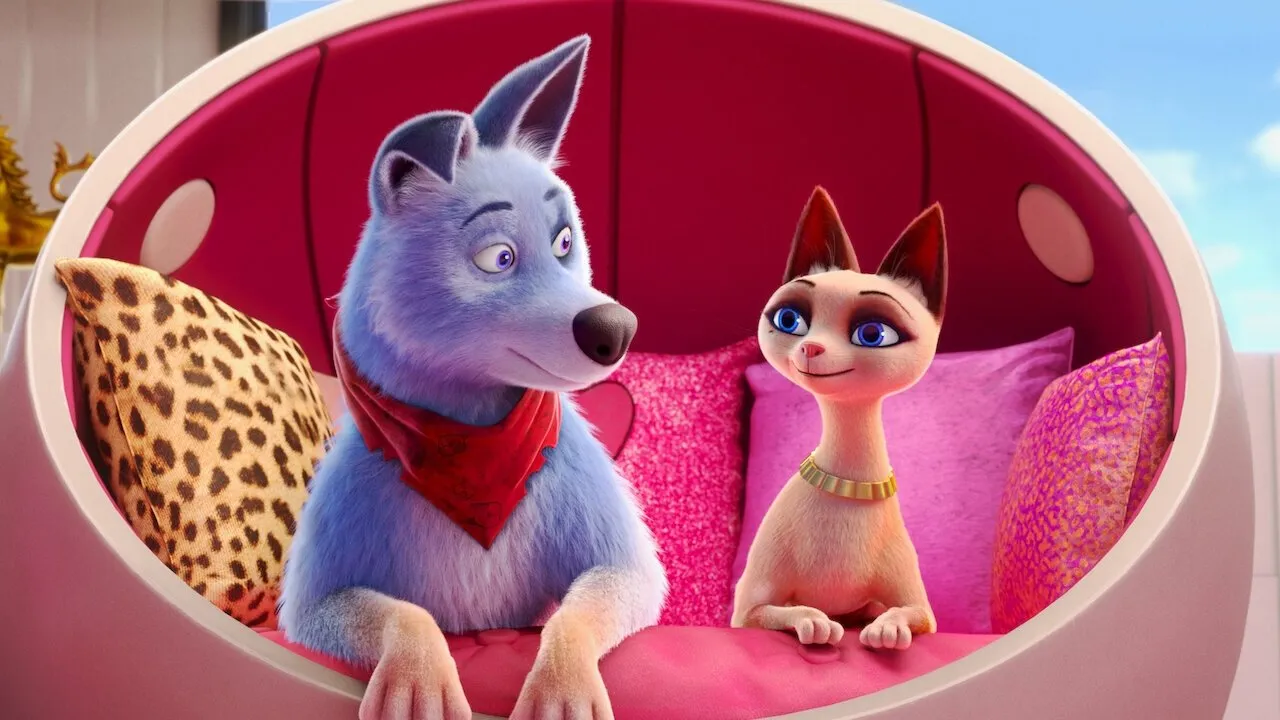 Pets United : L&rsquo;union fait la force