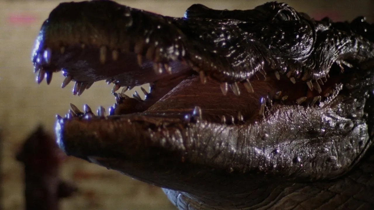 L&rsquo;Incroyable Alligator