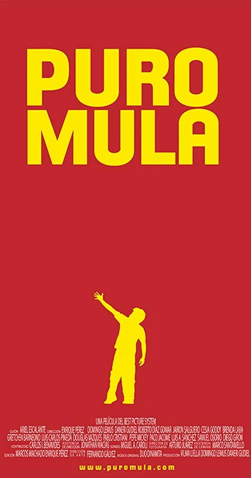 Affiche de Puro Mula