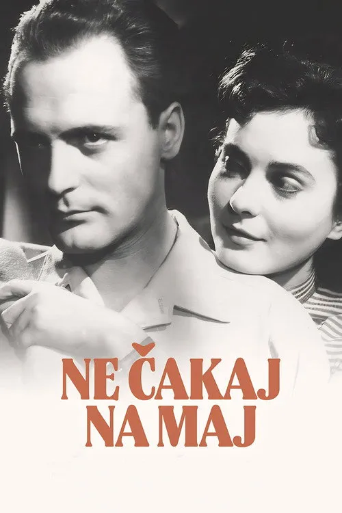 Ne čakaj na maj image 1