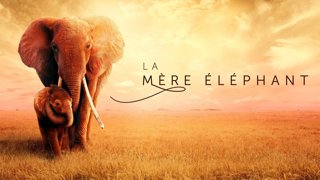 The Elephant Mother