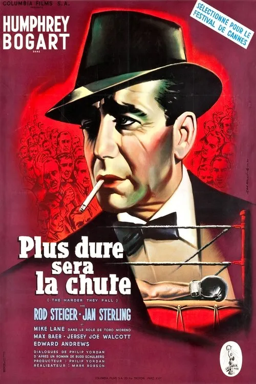 Affiche de Plus dure sera la chute