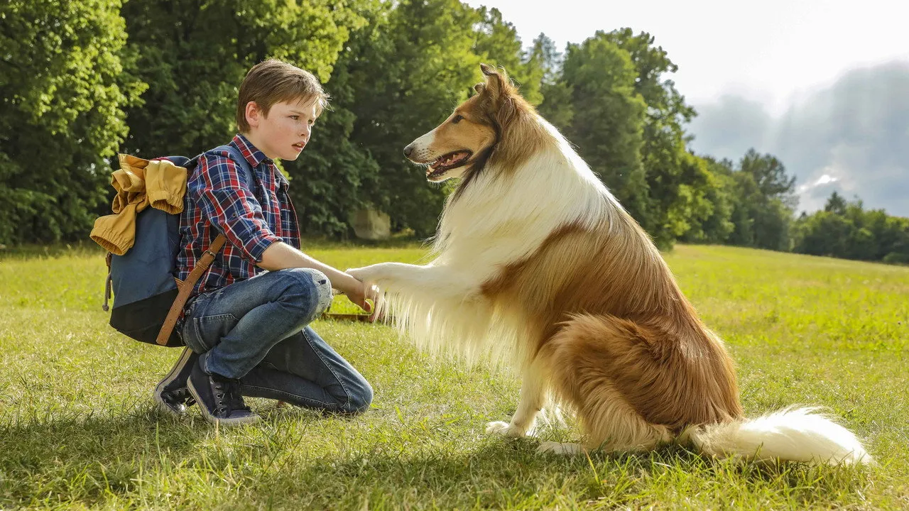 Lassie – La Route de l&rsquo;aventure